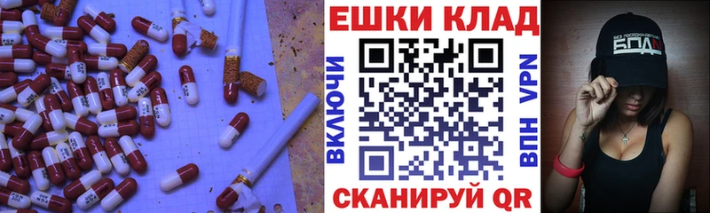 Экстази Punisher mega ONION маркетплейс Telegram Касимов