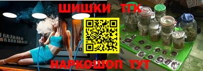 амф Камышлов