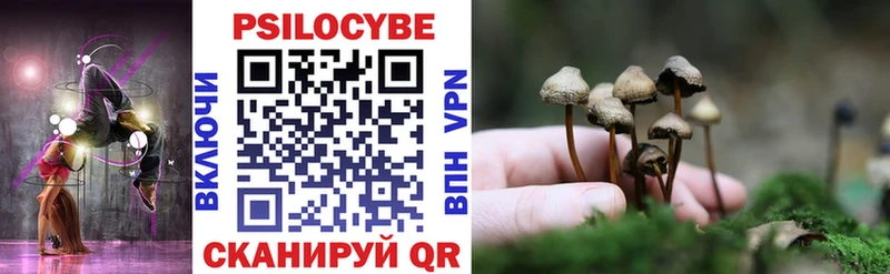 закладки Касимов Галлюциногенные грибы прущие грибы