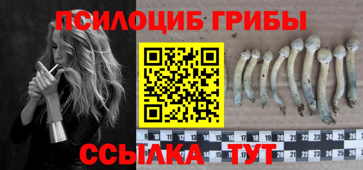 Псилоцибиновые грибы прущие грибы Касимов