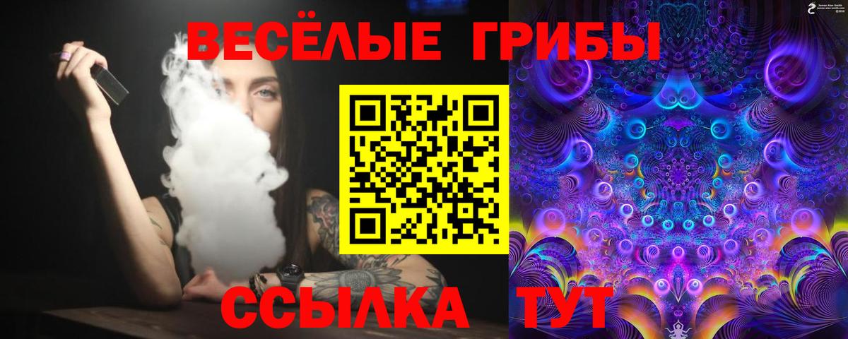 Галлюциногенные грибы Cubensis  Псилоцибиновые грибы Magic Shrooms  Касимов  Вход с VPN 